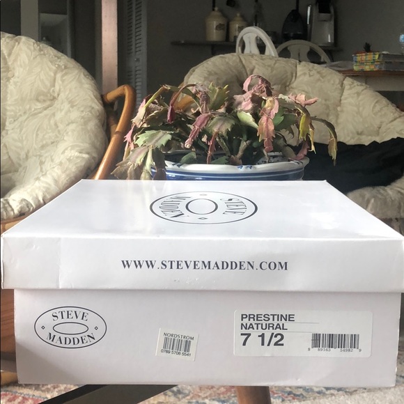 Steve Madden Prestine Natural Nude Platform Wedge - Picture 5 of 5